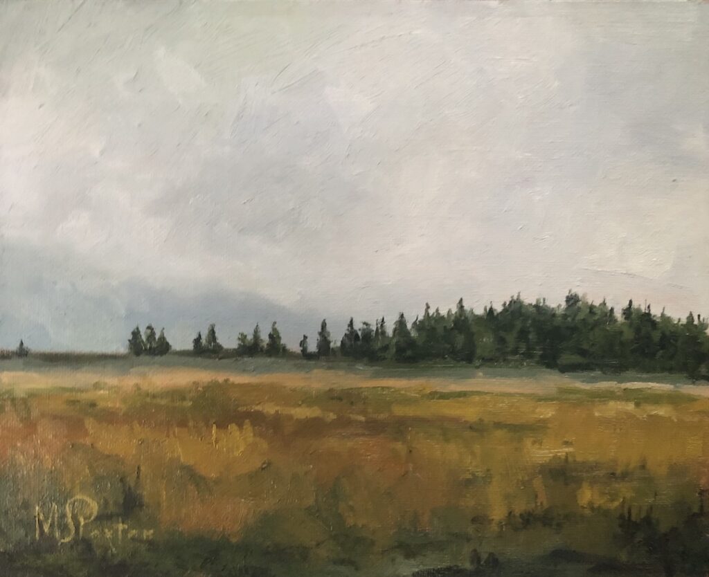 Moody fields - Grand Teton National Park 2023 - 8x10 - MSPaxton Fine Art