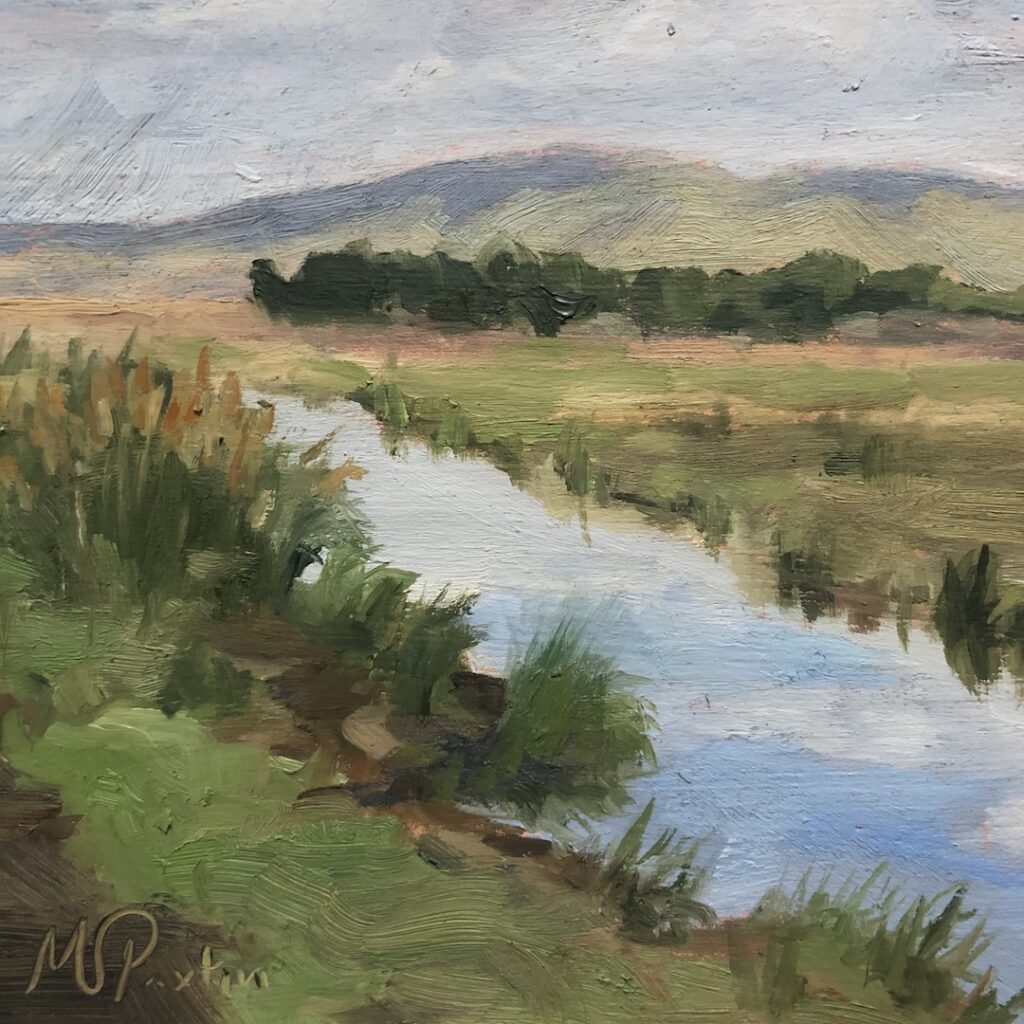 Springville Wetlands - 2023 - 5x5 - MSPaxton Fine Art